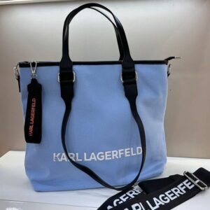 BOLD BLUSH BAG